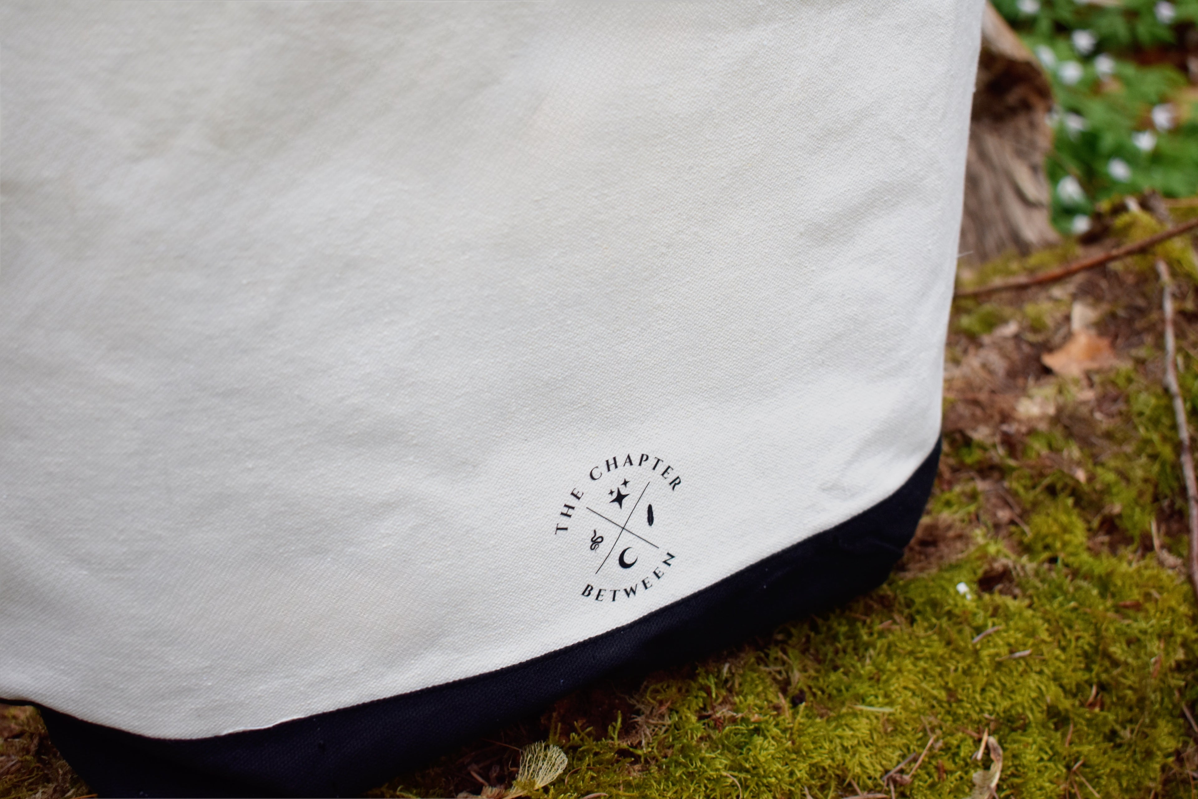 Worlds Within Pages – Bag