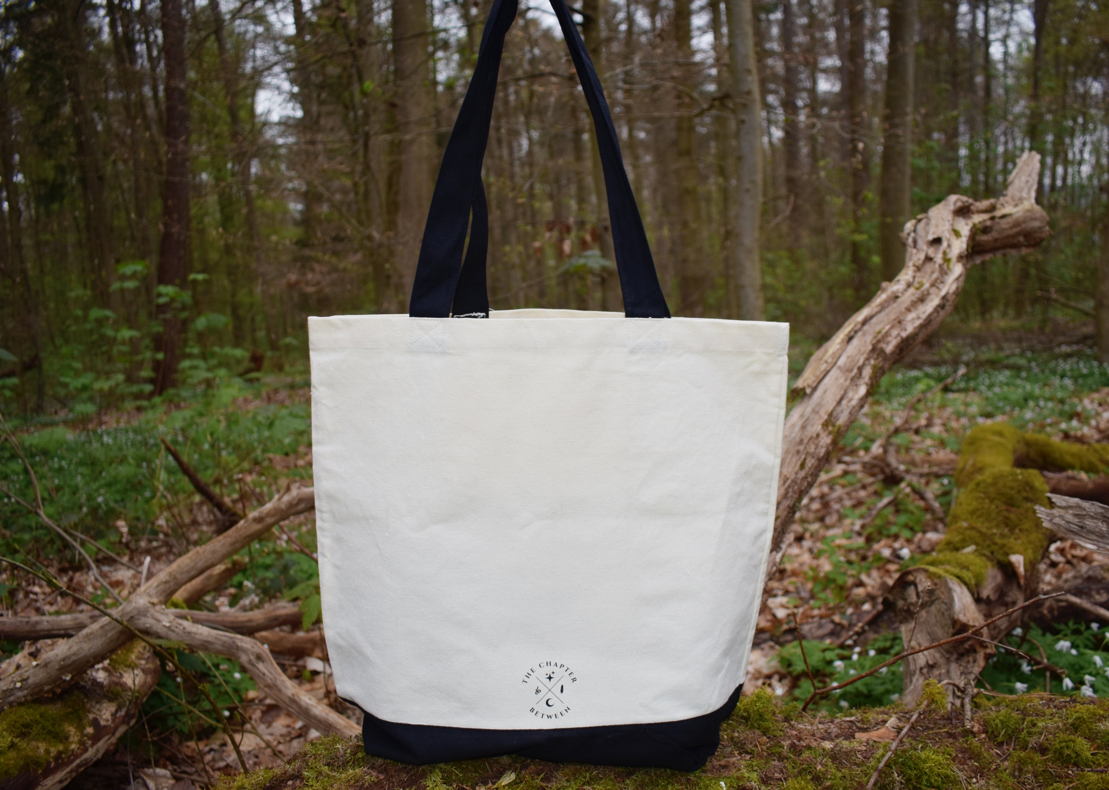 Worlds Within Pages – Bag